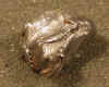 pigpellet.JPG (63525 bytes)